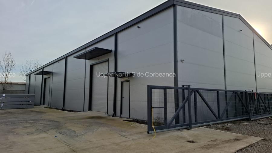 Hala Noua | OTOPENI - ODAI  |  590 mp utili - 5