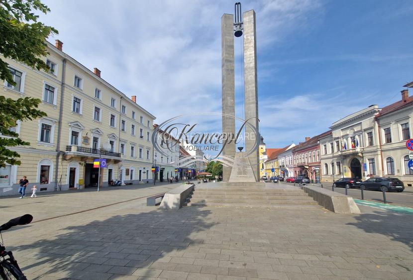 Apartament in Piata Unirii - 16