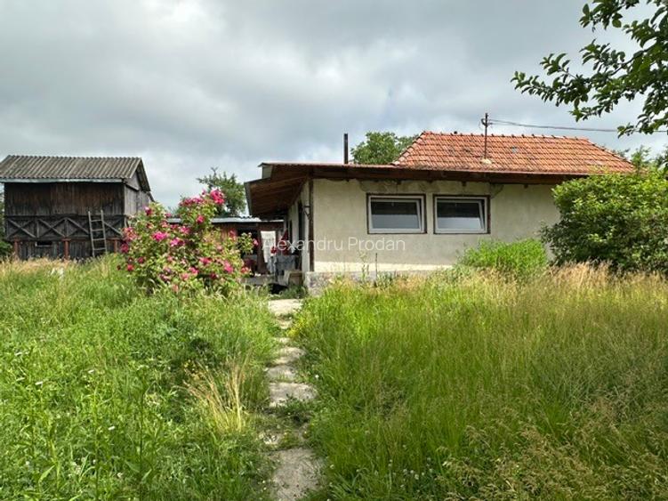 Amarasti Nemoiu in apropiere de Dragasani si Valcea - 8