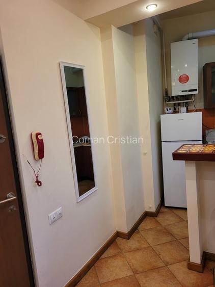 &Icirc;nchiriez apartament 2 camere, [zona parc Cismigiu, hotel Veneția] - 14