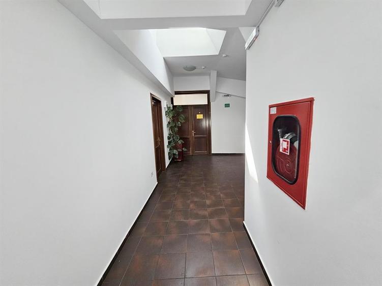 Spatii birou, Pietonal Stefan cel Mare