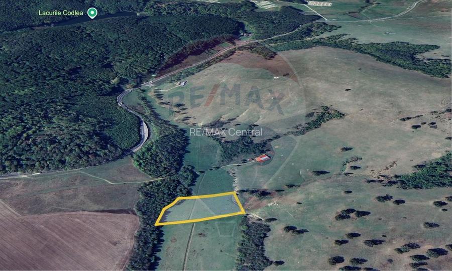 Teren 10,000mp Codlea / DN 1 - 2