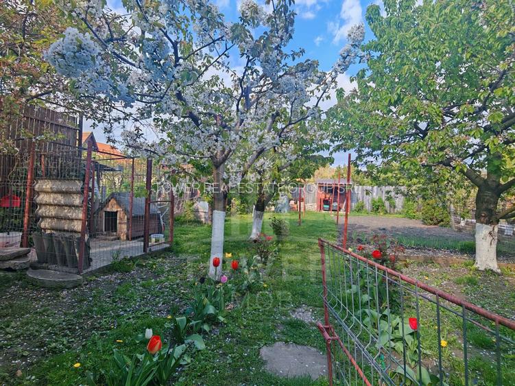 Casă individuală de vânzare – cartier Lazaret, Sibiu - 21