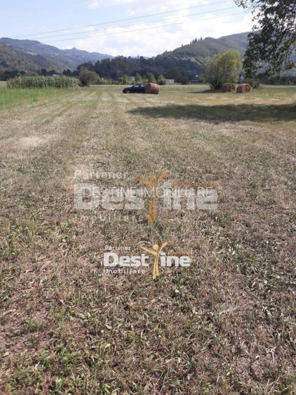 Teren de vanzare Pangarati 58.000 Euro 4488mp Intravilan - 4