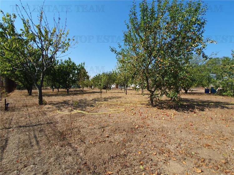 Teren intravilan agricol si teren curti constructii Lot 2 Parcela A326/49