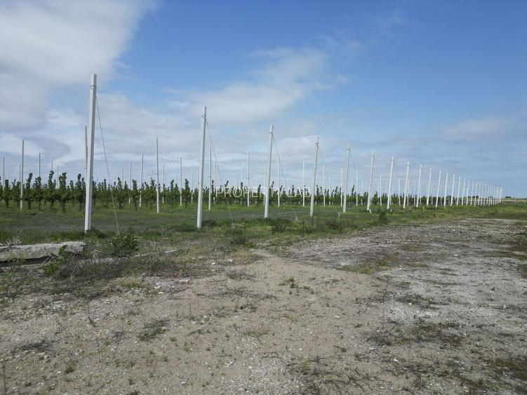 Platformă agro-industrială cu potențial de scalare - 9