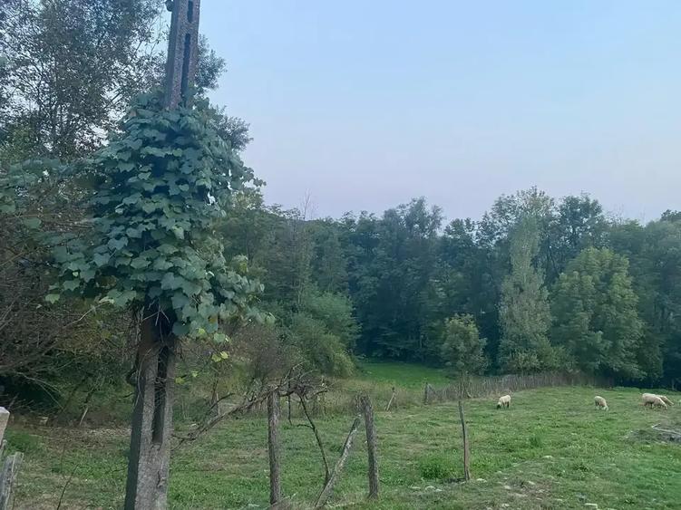 TEREN DE VANZARE 1.688 MP| SULTANU | VISINESTI | DEALURILE SULTANULUI