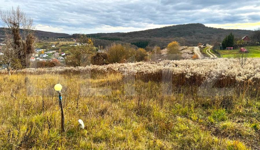 Teren extravilan de vanzare, 2400 mp, zona Valea Ghinzii - 5
