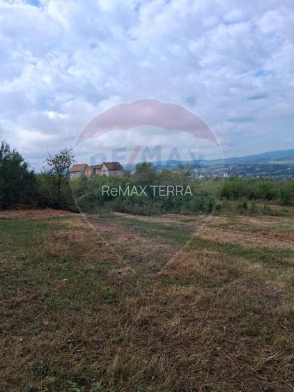 Teren 5,700mp Somcuta Mare / investitie cu potential major - 12