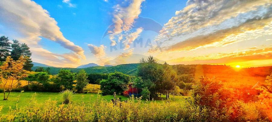 Teren 7160 mp/PUZ/cabana-ideal pentru proiect turistic/glamping
