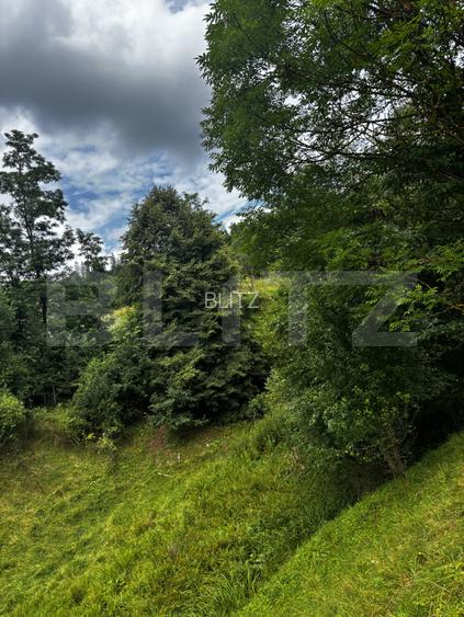 Teren intravilan de vânzare, 6500mp + o casă bătrânească, în Voroneț - 5
