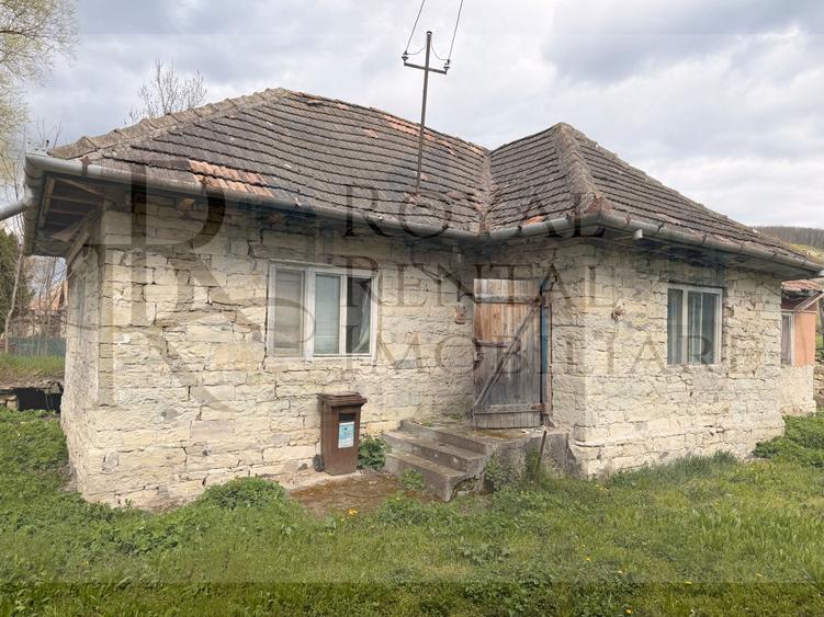 Comision 0! | Casă + teren generos | 2600 m² | Oportunitate unică - Faureni