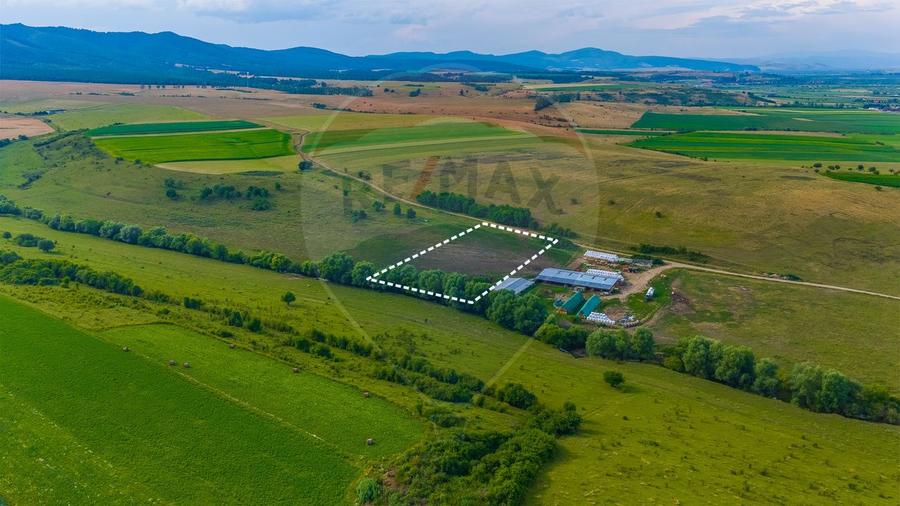 Oportunitate pentru fermieri: 10.800 mp teren arabil în Rotbav, Brașov
