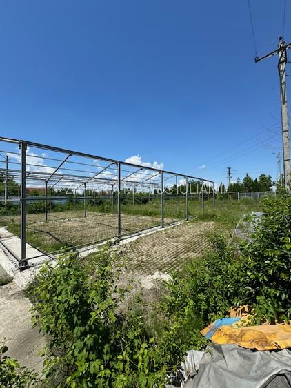 Teren intravilan de vanzare, 3000 mp, Izvoare, Bacau - 4