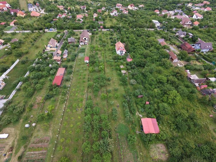 Teren intravilan 1000 mp in Sibiu Daia Noua