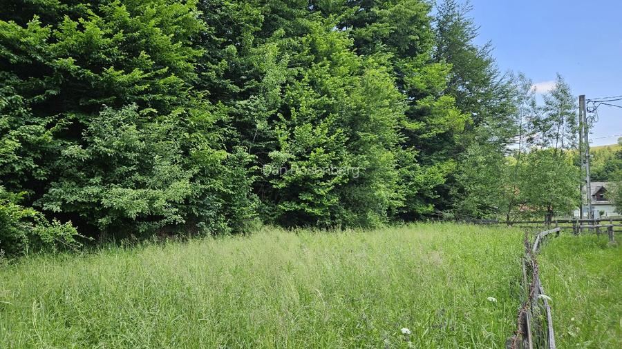 Teren 1600mp intravilan , construcție, fâneață, pădure, râu și acces auto - 4