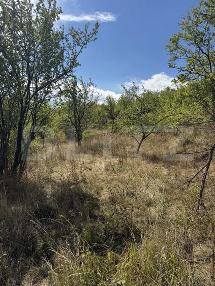 Teren intravilan de vanzare, 1.400 mp, zona Viile Noi