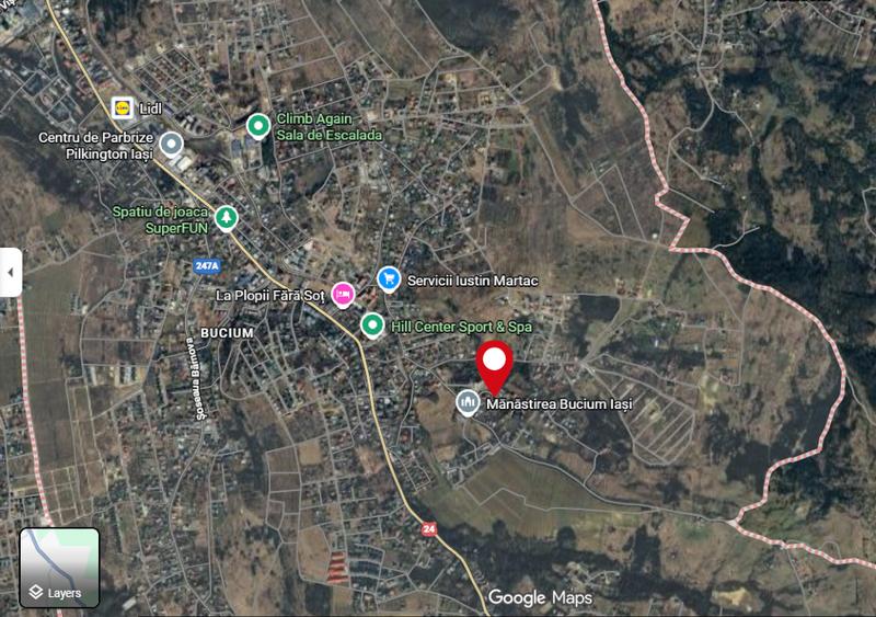 Vanzare teren intravilan 5000 mp, Bucium, 50ml front stradal, P.F.
