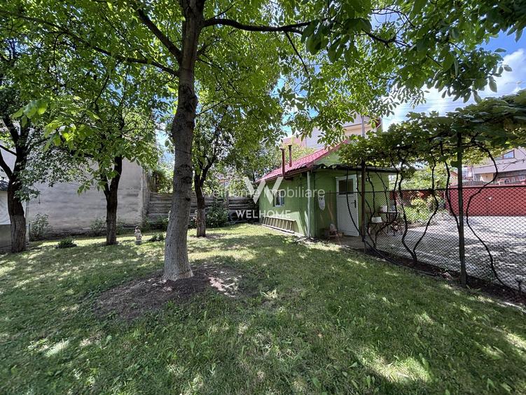Casă individuală de vânzare în Turnișor | Curte superbă 585 mp - 20