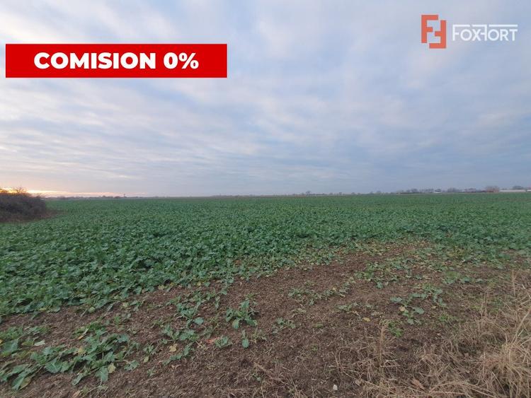 COMISION 0% Teren extravilan agricol 10.000 mp la sosea in Sag