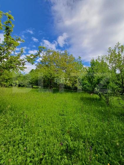Casa 3 camere si teren 4873 mp  în Pietroasa, Moldovenești - 12