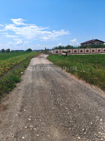 Teren Intravilan de vanzare - 6