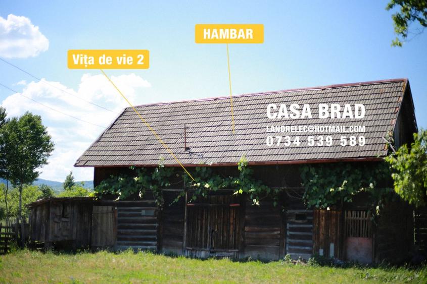 Casa mare cu ~4000mp teren plat, in zona verde, linistita, in orasul Brad, HD