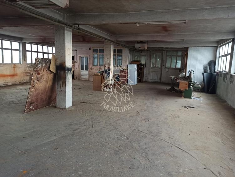 Complex de 3 hale 1545 mp-ideal prelucrare, service-Valea Ghinzii