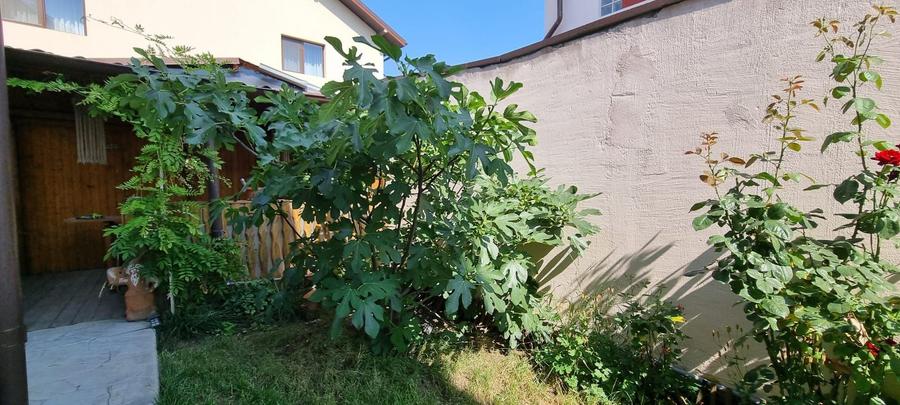 Casă individuală 4 camere