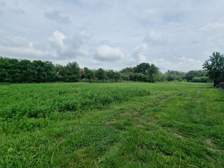 Casa la 5 km de Targu-Neamt - cu iaz si livada matura - gata pentru mutat