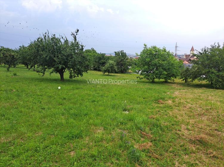 Teren intravilat| Zona rezidentila 1156 mp-TURNISOR - 4