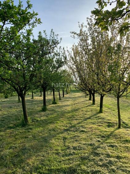 De vânzare – Casă modernă cu teren generos de 5.538 mp, livadă și dotări complet - 13