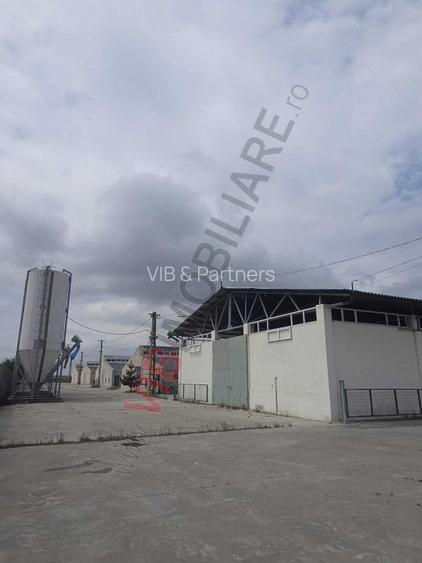 *Fermă modernă export miei | 6 ha | Standarde europene ,Brăila* - 9