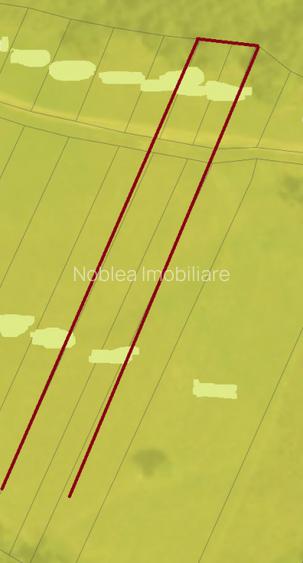 Oază de liniște cu vedere la munți – 2.400 mp lângă Aeroportul Sibiu (Cristian) - 7