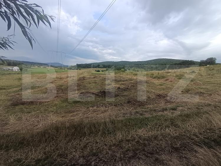 Teren 3.600 mp, ideal pentru livadă, cabană sau investiție în Podu Olt