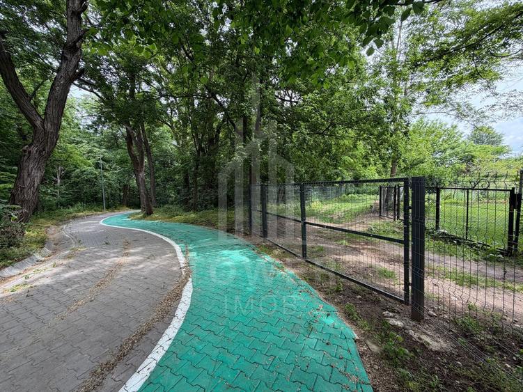 OCAZIE RARĂ - Teren cu cabană de vânzare lângă Lacurile Naturale - Ocna Sibiului