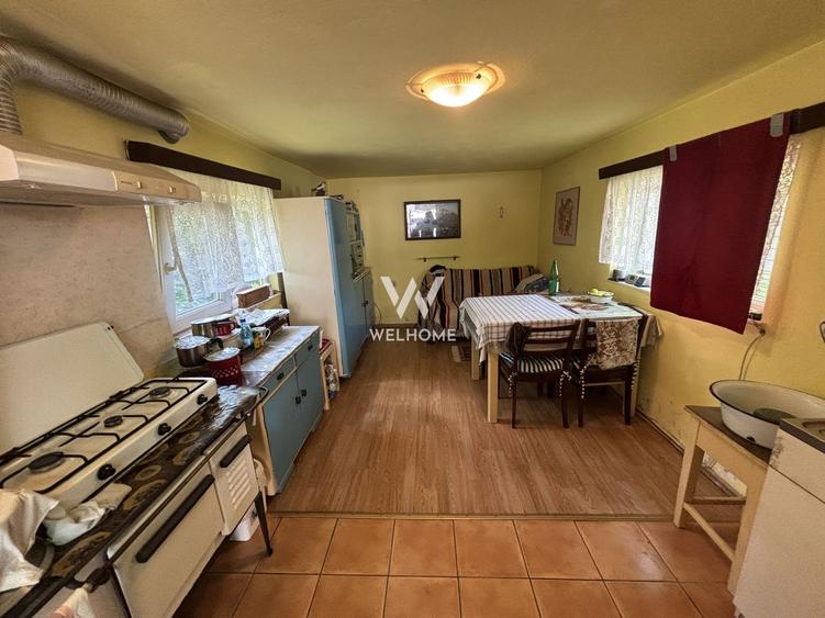 Casă individuală de vânzare în Turnișor | Curte superbă 585 mp