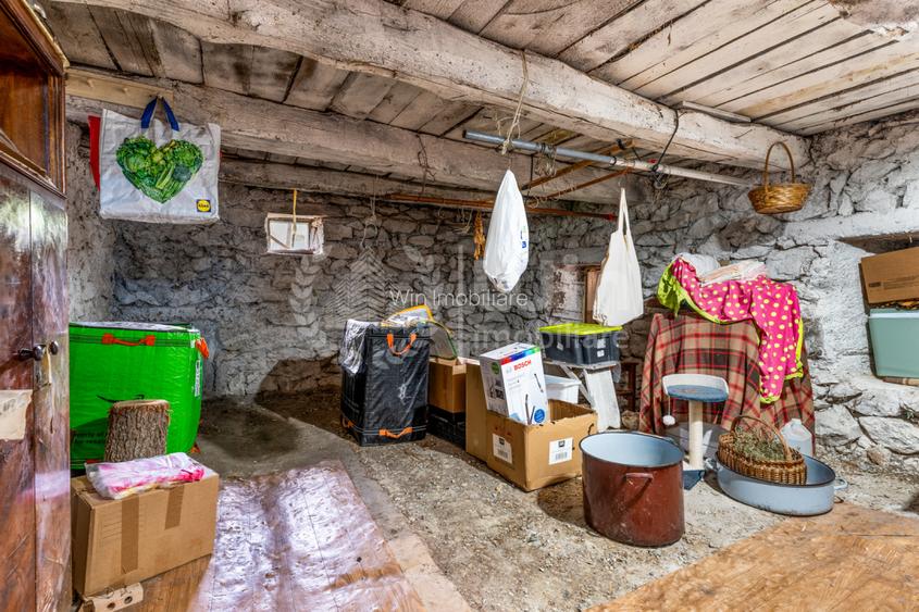 Comision 0% Casa individuala la cheie | 900mp teren | sat. Braisoru - 22