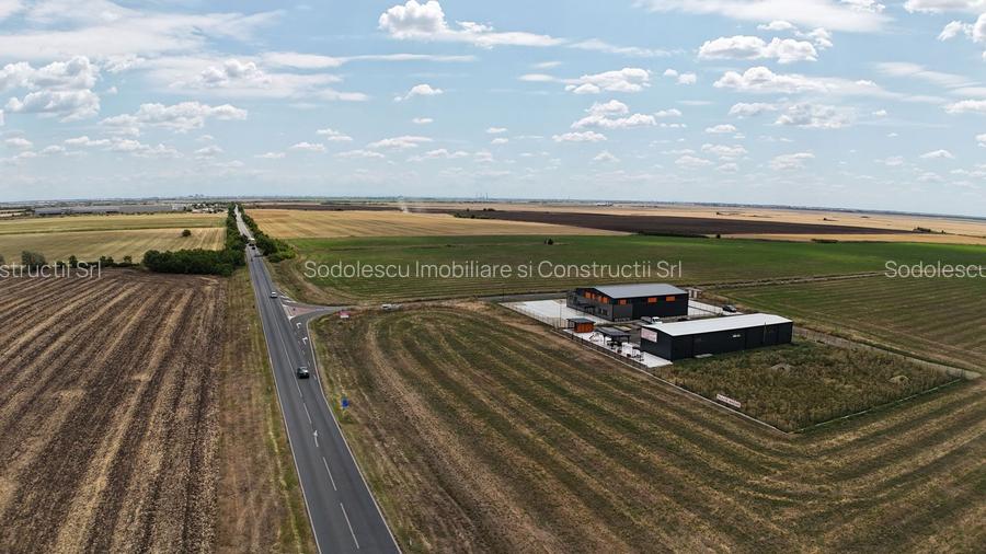 Hală industrială nouă de vânzare – Becicherecu Mic, Tims - 12