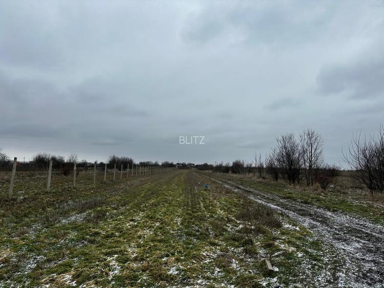 Teren intravilan 10.000 mp în Coșoveni – deschidere 21,5 m, utilități la front