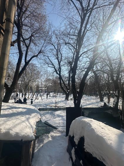 Vilă interbelică de vânzare – vedere directă către Parcul Grădina Icoanei