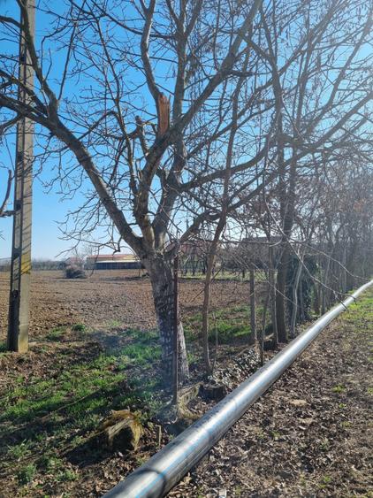 Teren intravilan de vânzare – Pădurea Noroieni