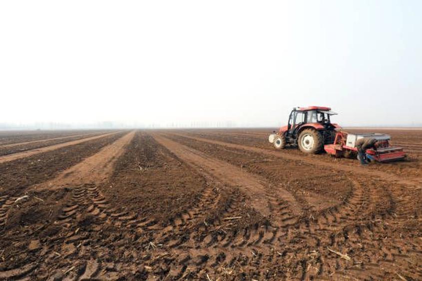 Ferma de Cultura Mare 1100 HA