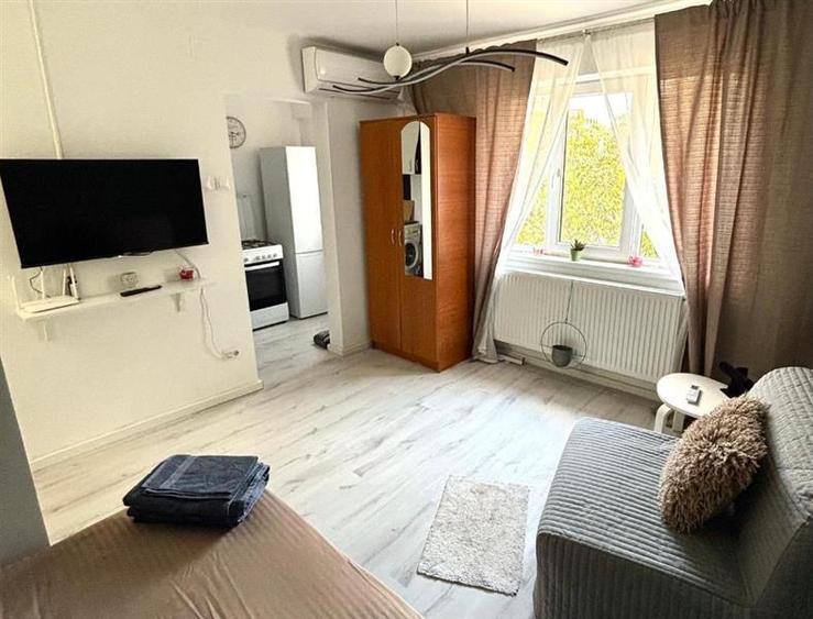 Garsonieră Modernă Tei
