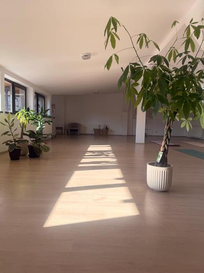 Studio sau birouri mansarda Universitate - strada Sfintilor 6