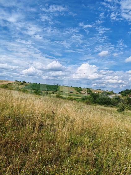 Teren intravilan ideal pentru casa, 4300 mp, Deusu - Chinteni
