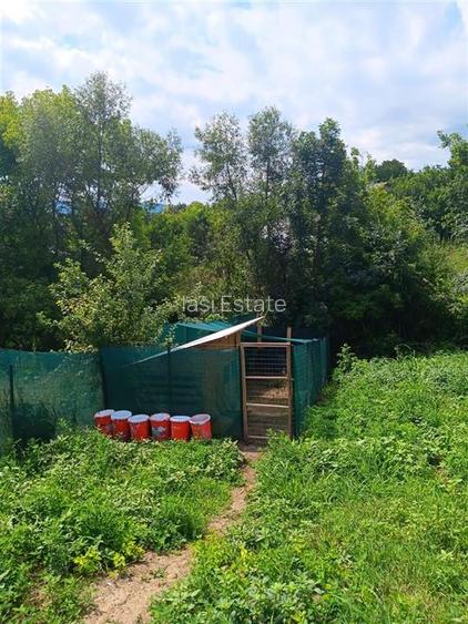 OCAZIE! Ciurbesti TEREN 700mp cu AUT. de CONSTRUCTIE casa parter si utilitati - 3