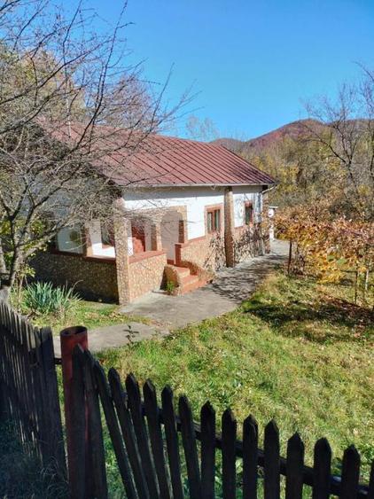 Iedera, Cricovul Dulce, casa de vanzare 90mp, teren 2450mp
