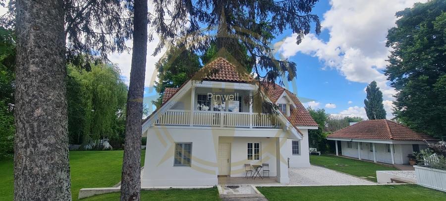 DOM00445 - Vila de poveste la lac cu ponton in Snagov - 6