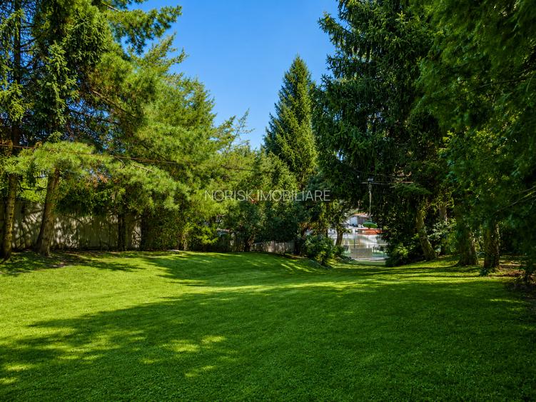 Lakefront Estate | 3.000 mp Teren | Ponton Privat | Snagov - 23